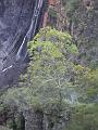 Dangar Falls IMGP0717